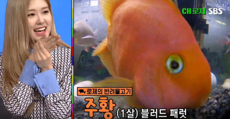BlackPinkのロゼ、ペットの魚を公開