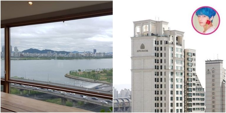 BTSテヒョン購入5億円マンション、眺望写真&内部映像公開