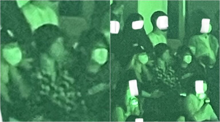 BlackPinkリサ「Stray Kids」コンサート鑑賞? 会場で目撃