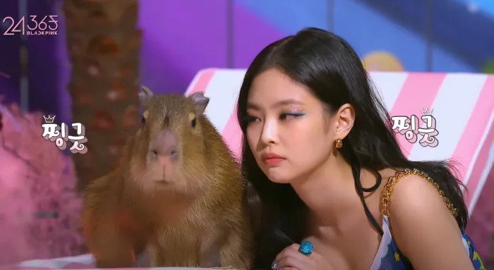 BlackPinkジェニの裏垢? 「カピバラ」アカウント話題に… テヒョン「熱愛写真」流出元?
