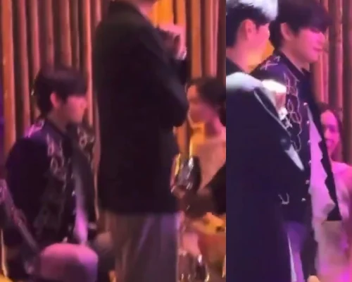 BTSテヒョン x aespaウィンター、2人だけで会話姿に反響！[W乳がんイベンント]