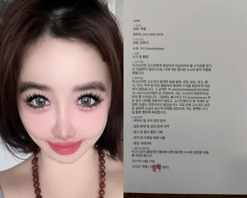 2NE1パクボム、YGヤンヒョンソクへの告訴状UP「64272e兆億ウォン支払え」→ 心配する声