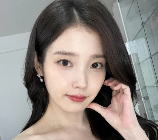 「IUは中国スパイ」書き込み男に、懲役10ヶ月・執行猶予判決