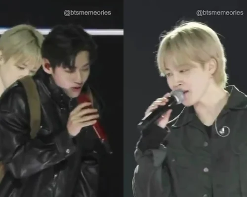 BTSジン,テヒョン,ジミン「春の日」に酷評…「下手すぎ」「テヒョン音痴、歌うの避けるな」「グク以外歌えない」