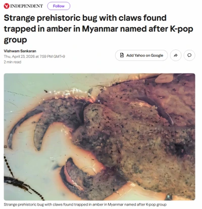 新種昆虫、Stray Kidsと名付けられる…1億年前「化石」発見