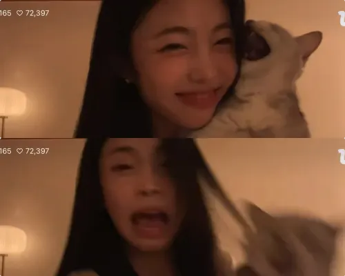 H2Hイアン、飼い猫に「シャーッ」され驚愕顔…[Hearts2Hearts]